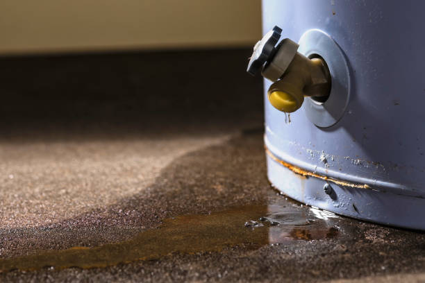 Best Sewage cleanup and water damage restoration  in Darlington, SC
