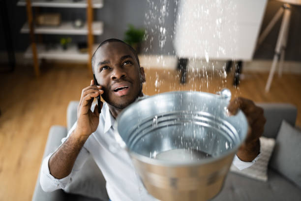 Best Water damage cleanup near me  in Darlington, SC