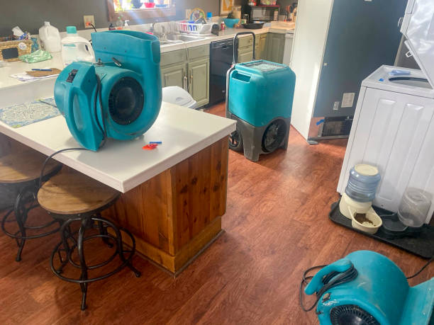 Best Water damage restoration cost  in Darlington, SC