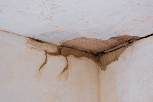 Best Water damage restoration near me  in Darlington, SC