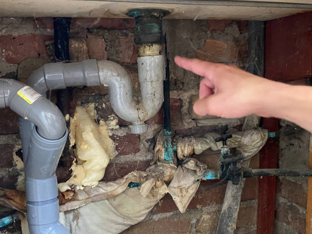 Best Water damage restoration near me  in Darlington, SC