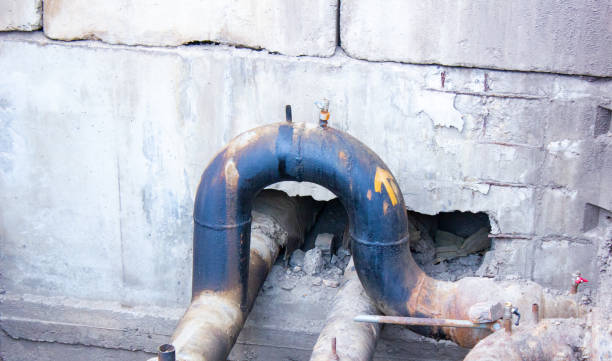 Best Professional water damage repair  in Darlington, SC