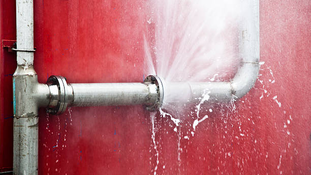 Best 24-hour water damage restoration  in Darlington, SC